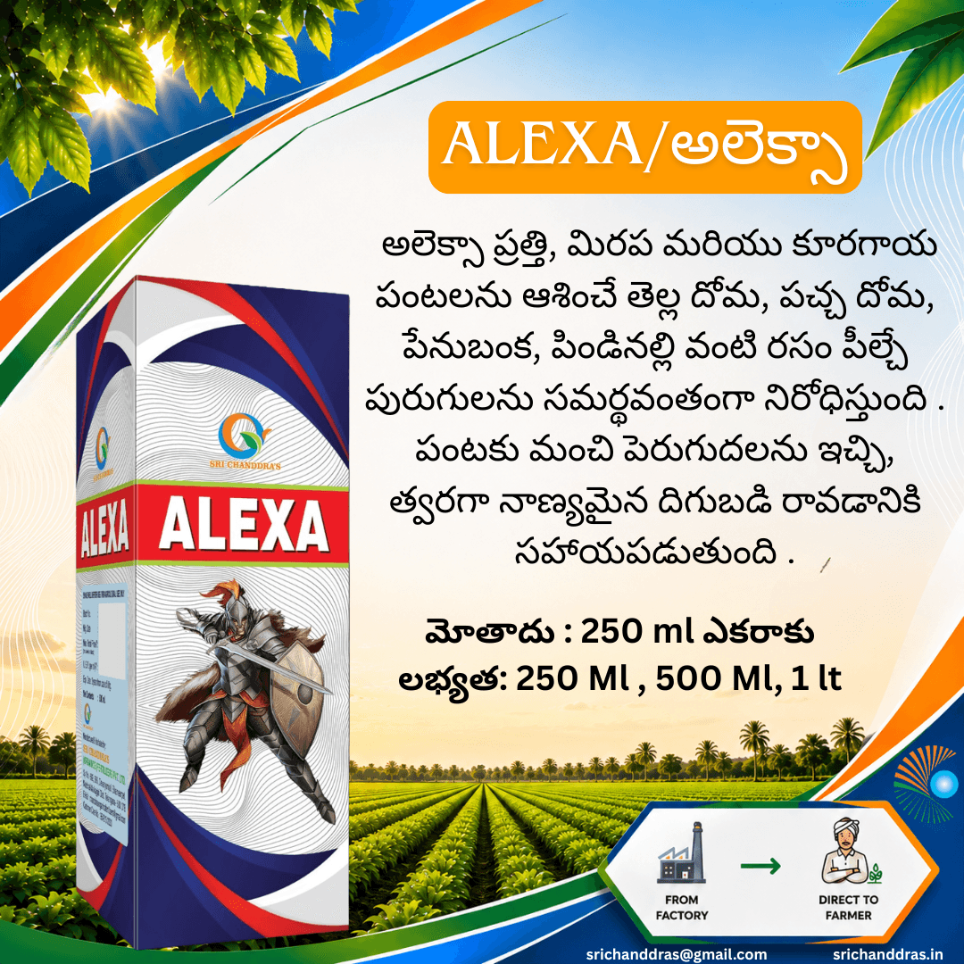 Brochure page 10