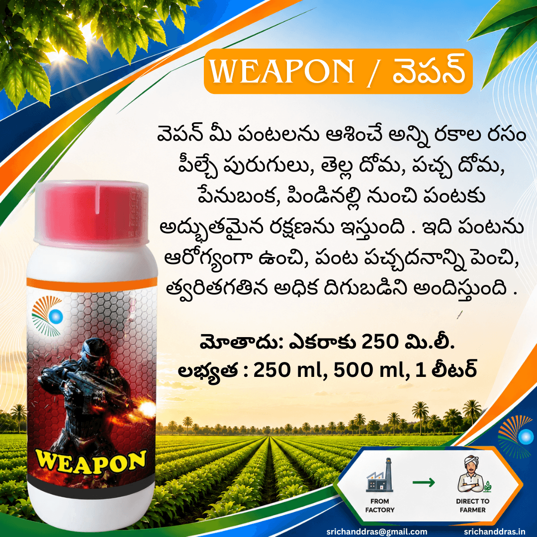 Brochure page 12