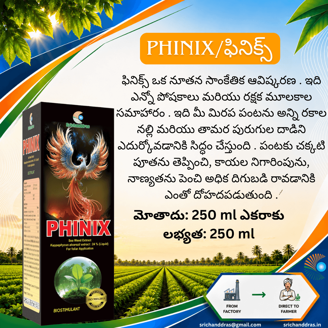 Brochure page 14