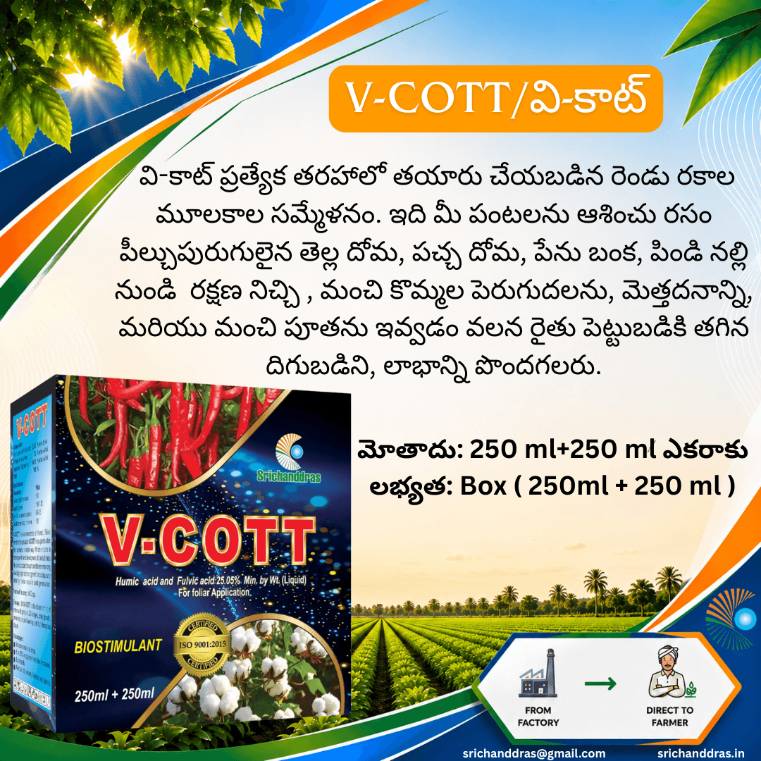 Brochure page 16