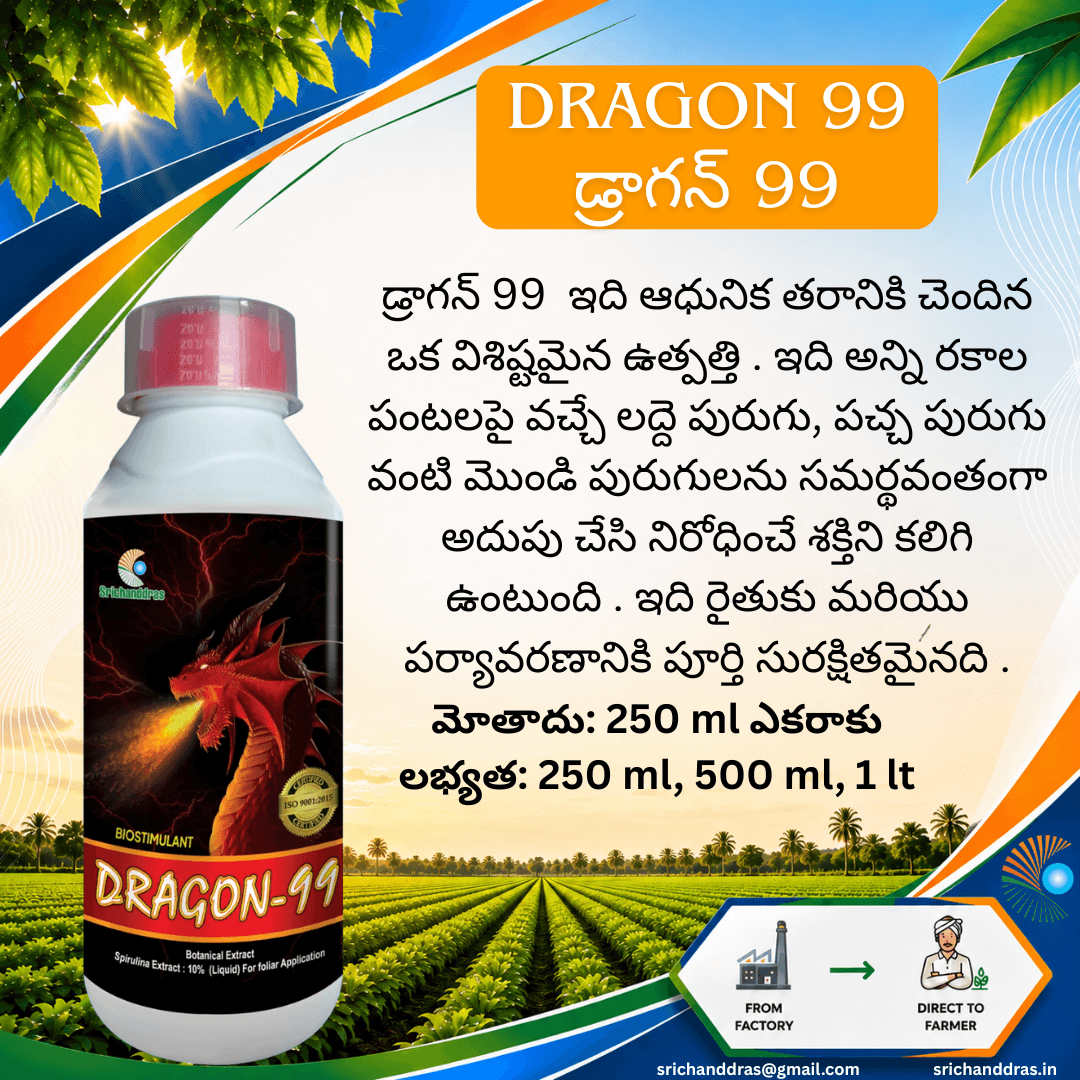 Brochure page 17