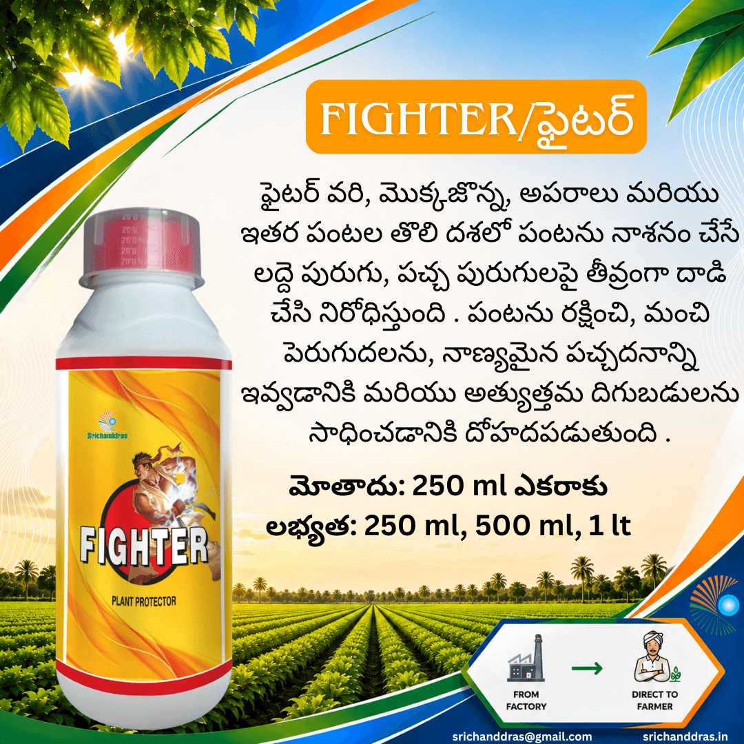 Brochure page 20