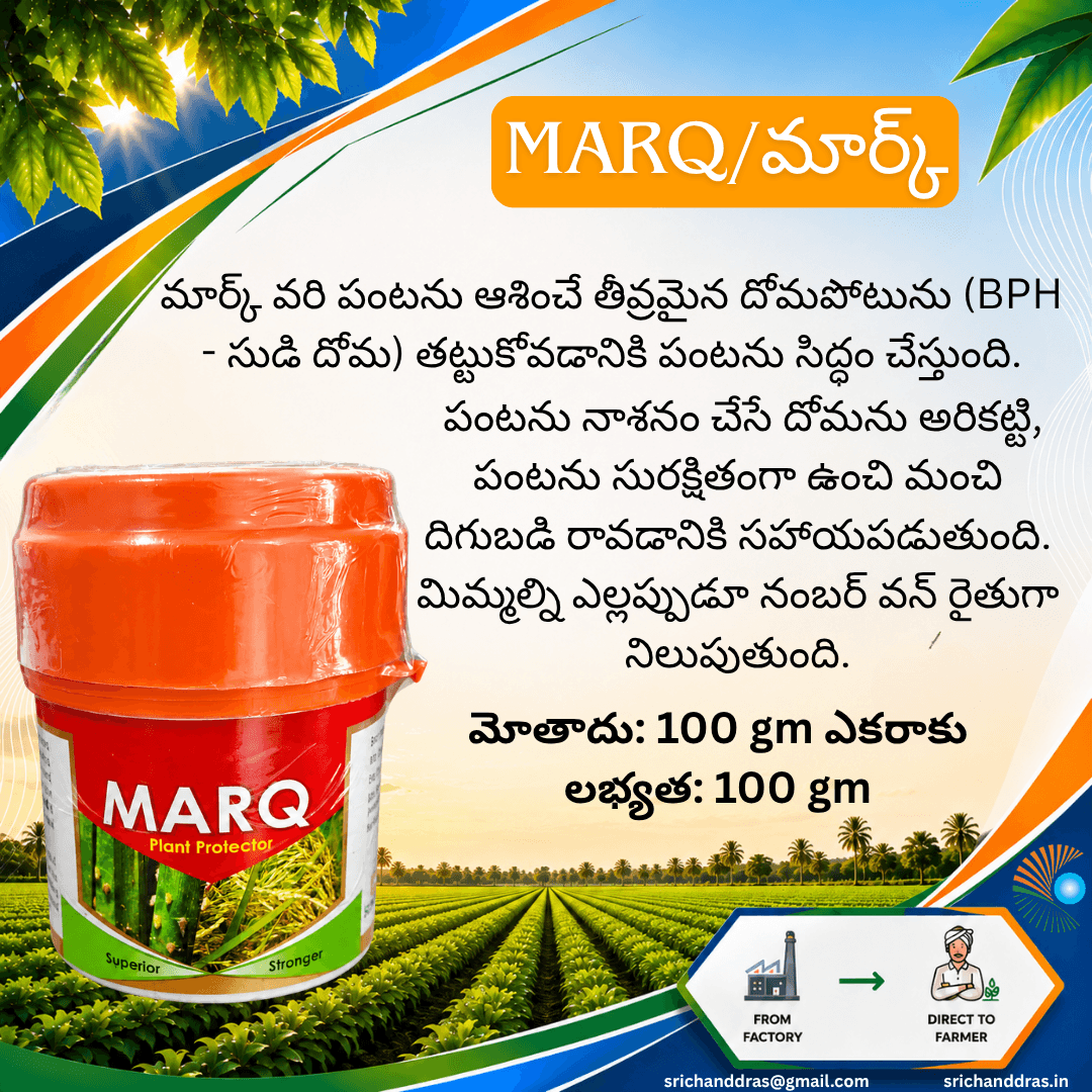 Brochure page 22