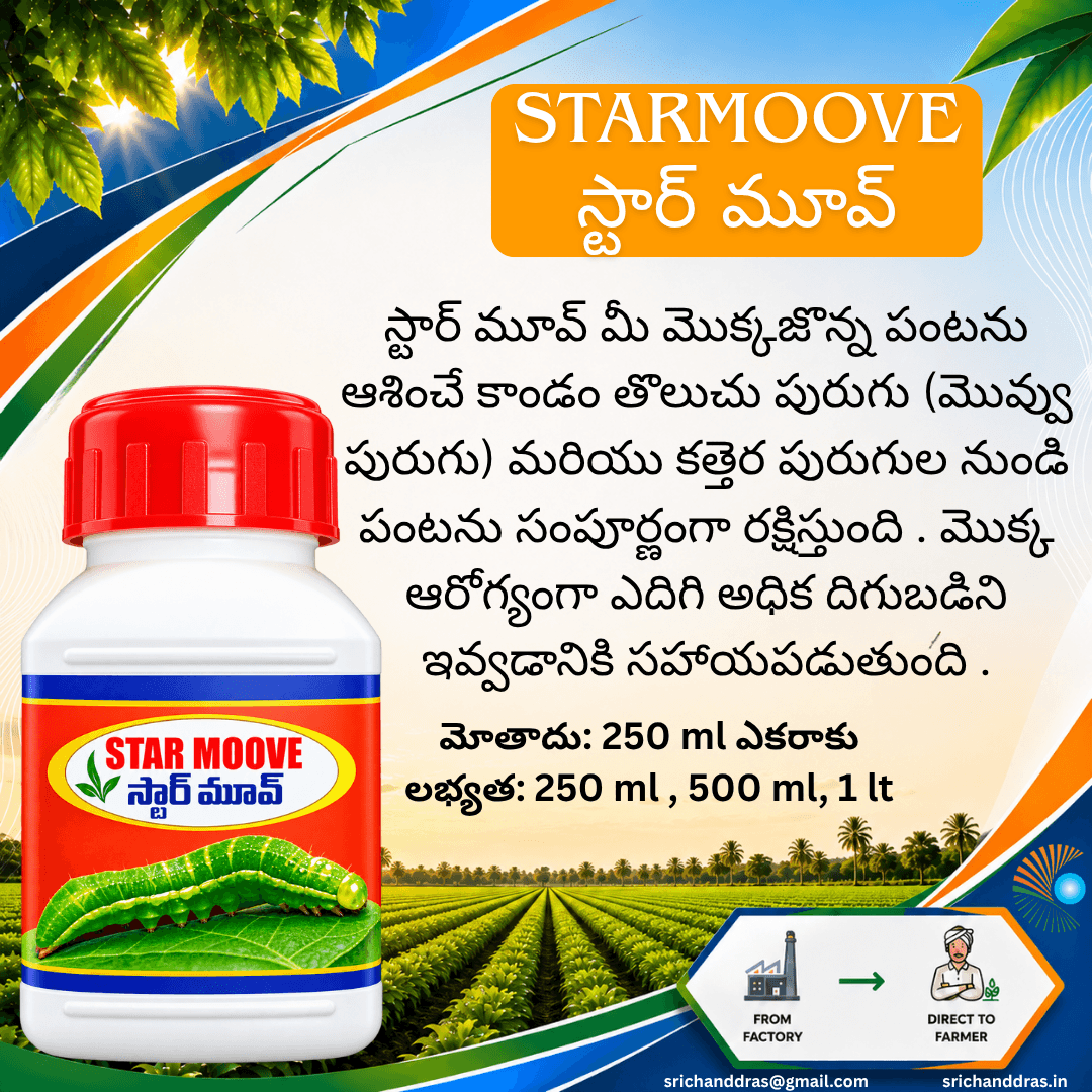 Brochure page 23