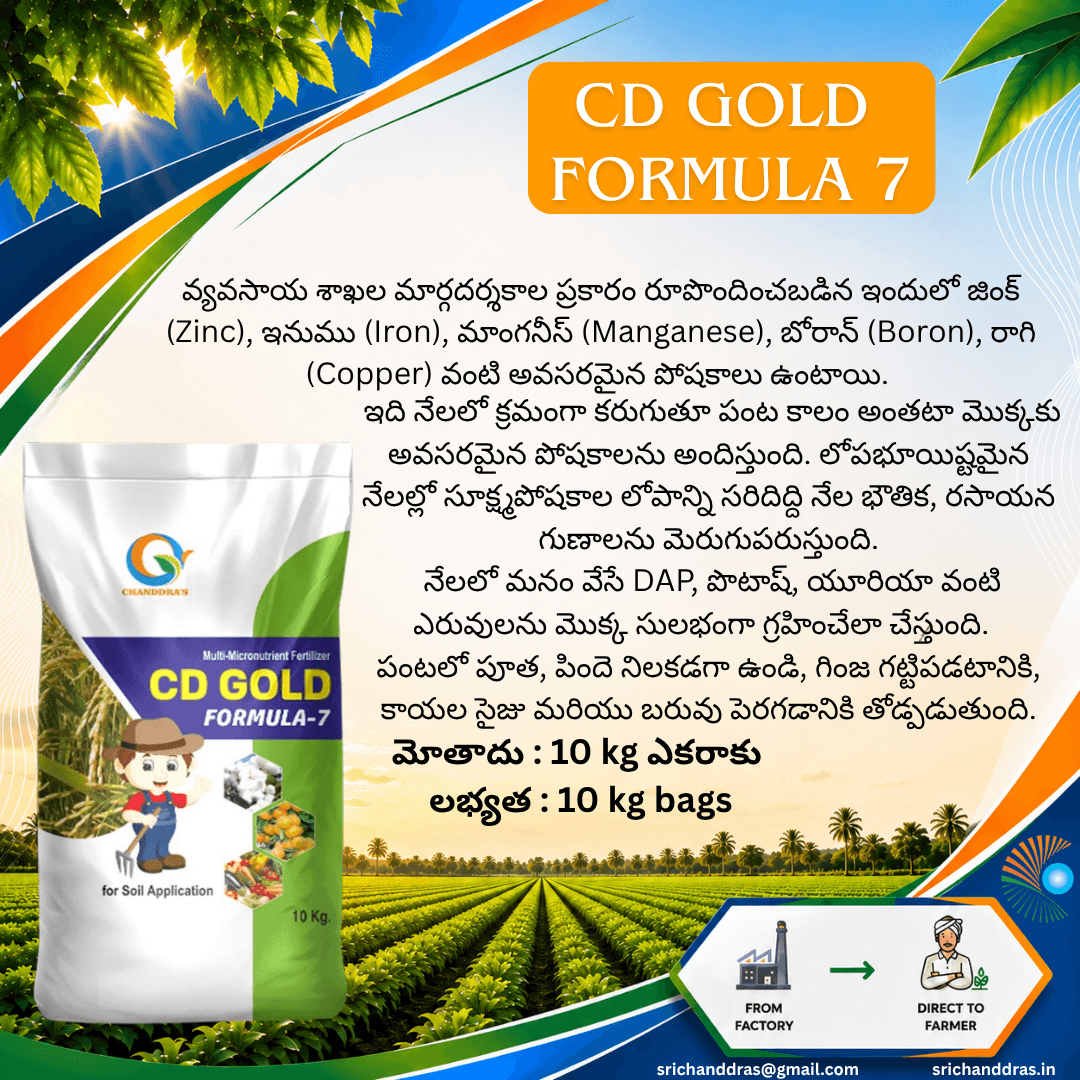 Brochure page 25