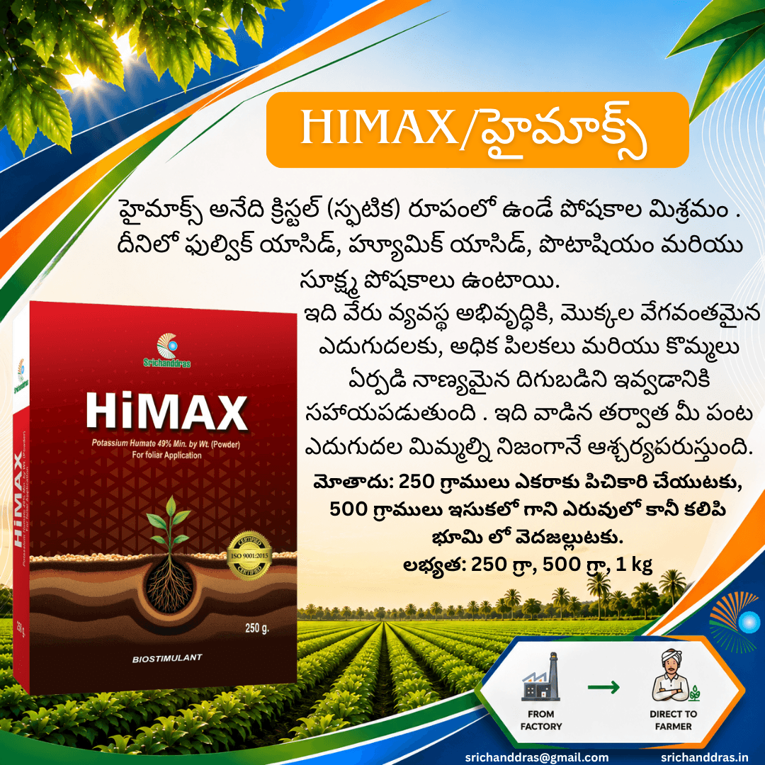 Brochure page 2