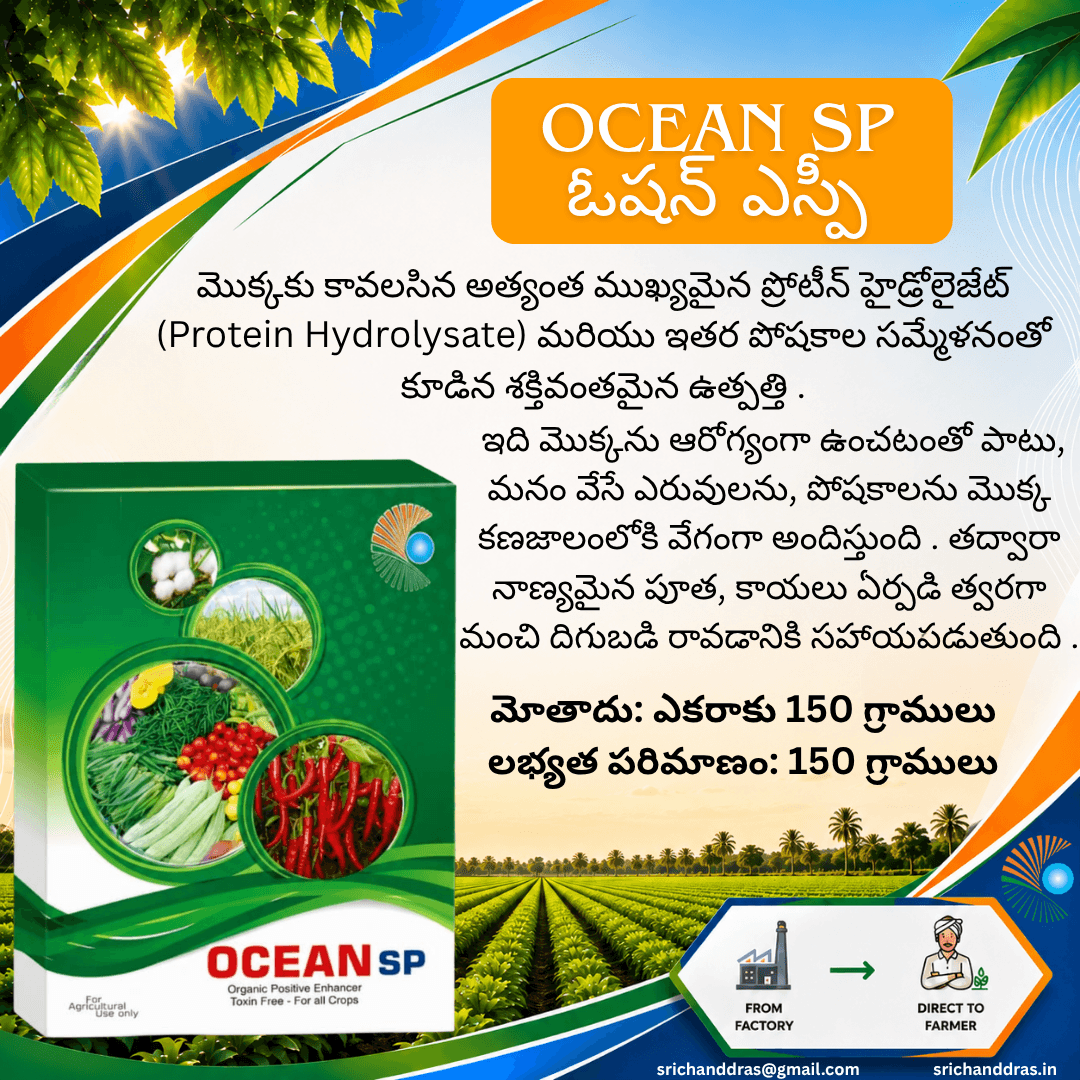 Brochure page 5